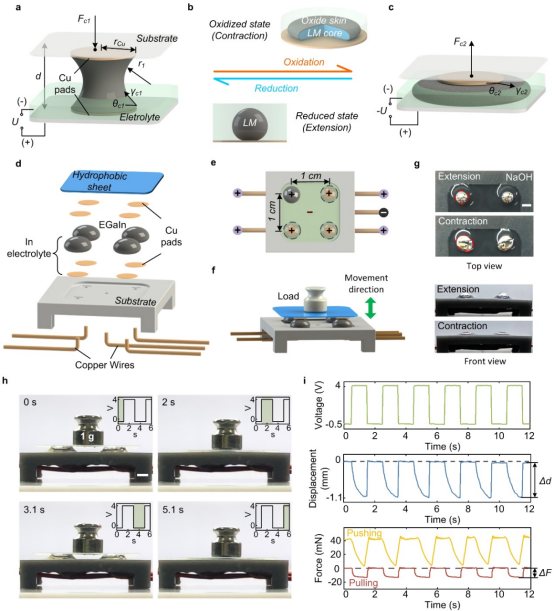 中国科大在液态金属柔性驱动方向取得系列进展