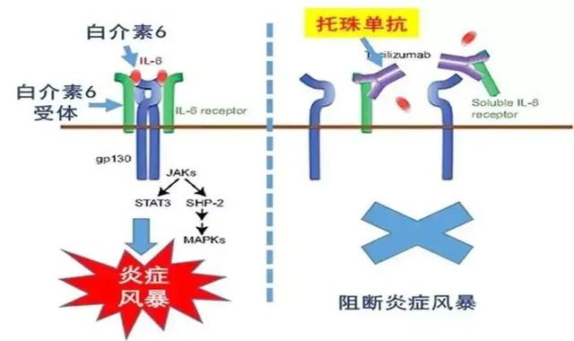 中国科学技术大学,让创新成为流淌在血液里的基因